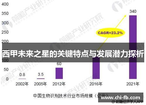 西甲未来之星的关键特点与发展潜力探析 西甲未来之星的关键特点与发展潜力探析