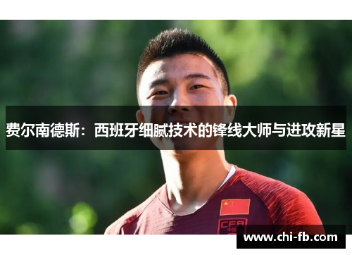 费尔南德斯:西班牙细腻技术的锋线大师与进攻新星 费尔南德斯:西班牙细腻技术的锋线大师与进攻新星