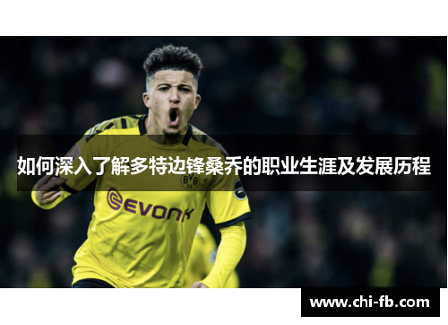 如何深入了解多特边锋桑乔的职业生涯及发展历程 如何深入了解多特边锋桑乔的职业生涯及发展历程