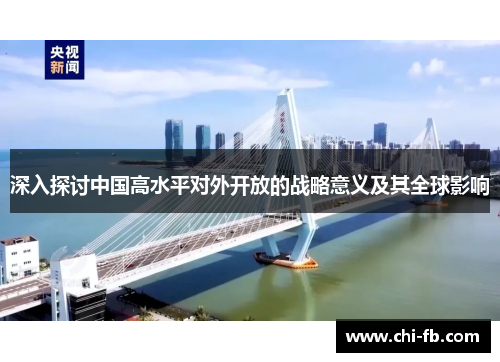 深入探讨中国高水平对外开放的战略意义及其全球影响