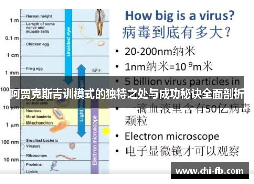 阿贾克斯青训模式的独特之处与成功秘诀全面剖析