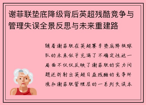 谢菲联垫底降级背后英超残酷竞争与管理失误全景反思与未来重建路