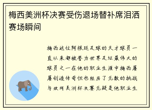 梅西美洲杯决赛受伤退场替补席泪洒赛场瞬间